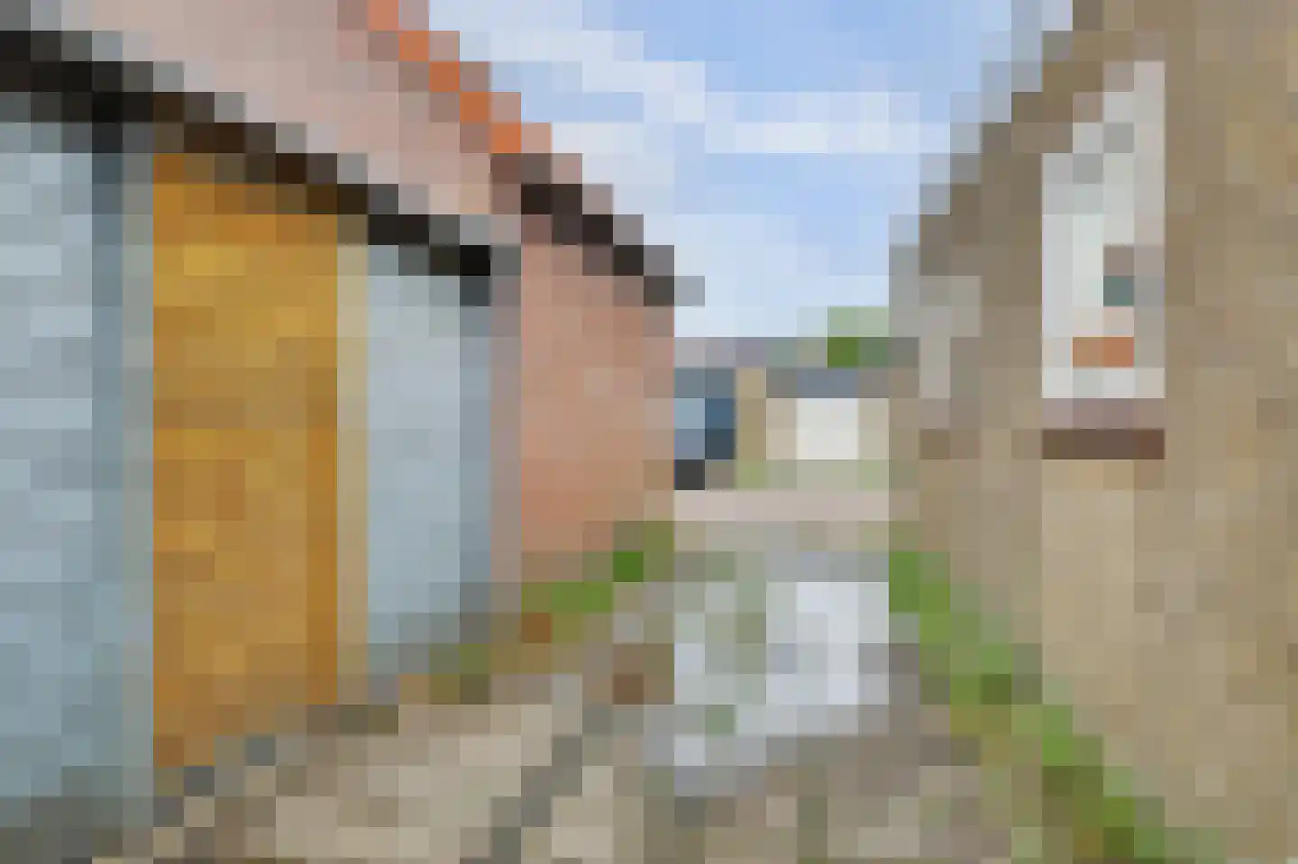 Ribesstraat 14 Nieuwerkerk thumbnail 18