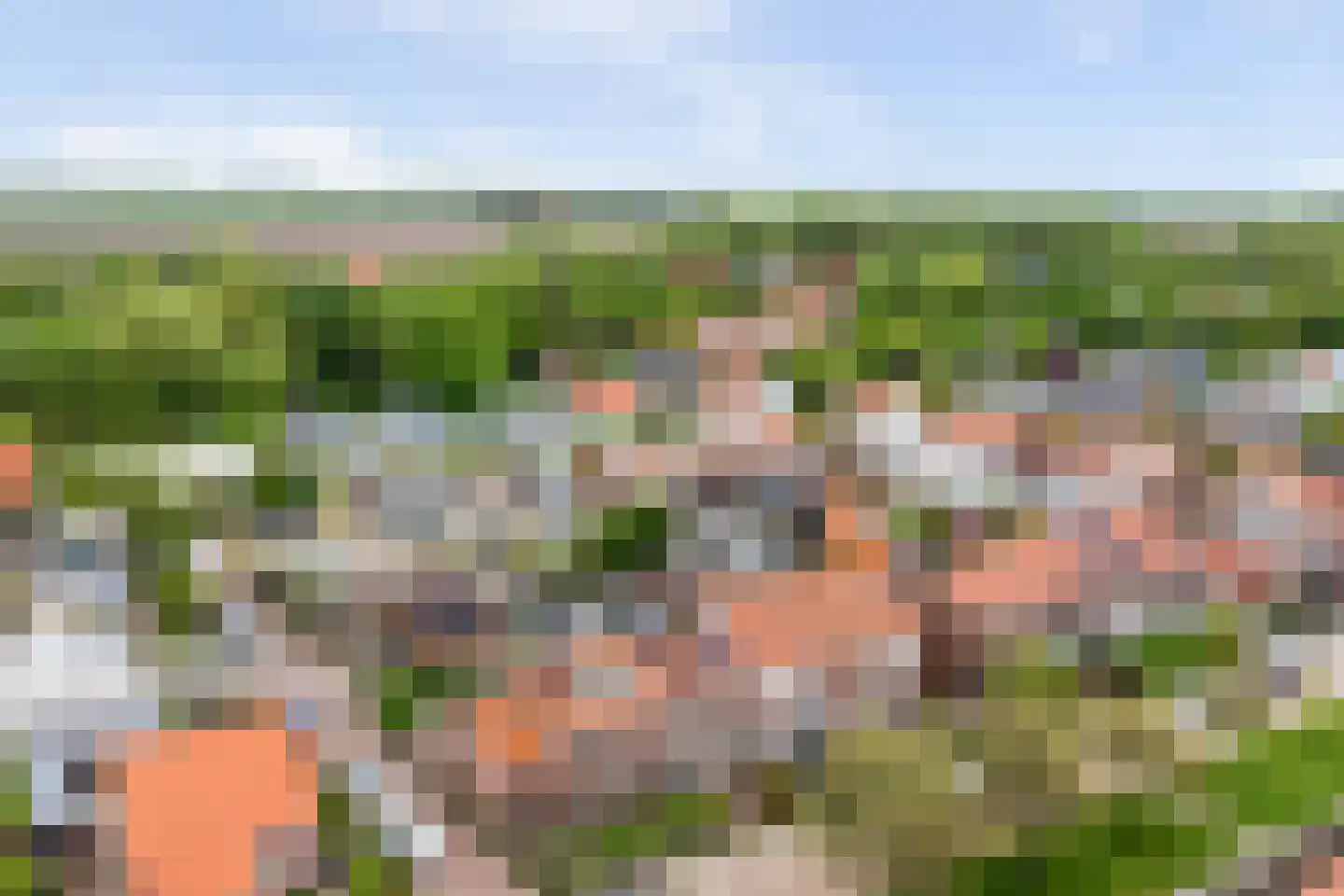 Ribesstraat 14 Nieuwerkerk thumbnail 20