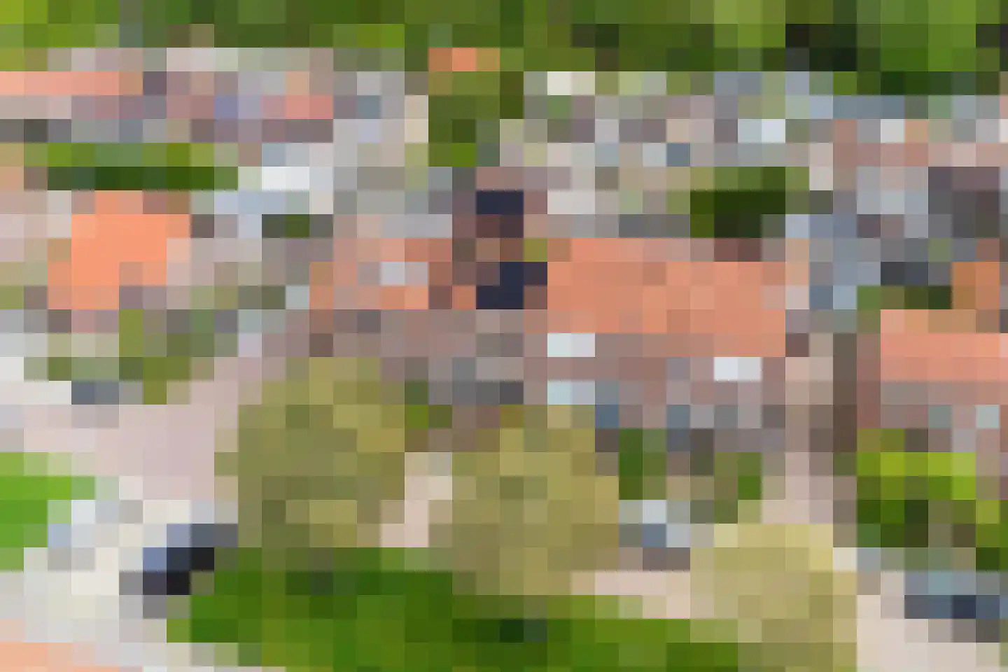 Ribesstraat 14 Nieuwerkerk thumbnail 22