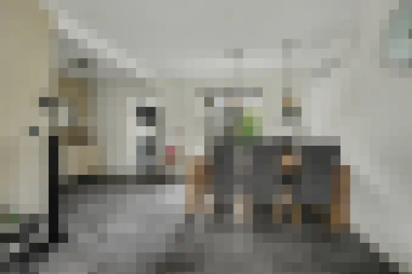 Ribesstraat 14 Nieuwerkerk thumbnail 5
