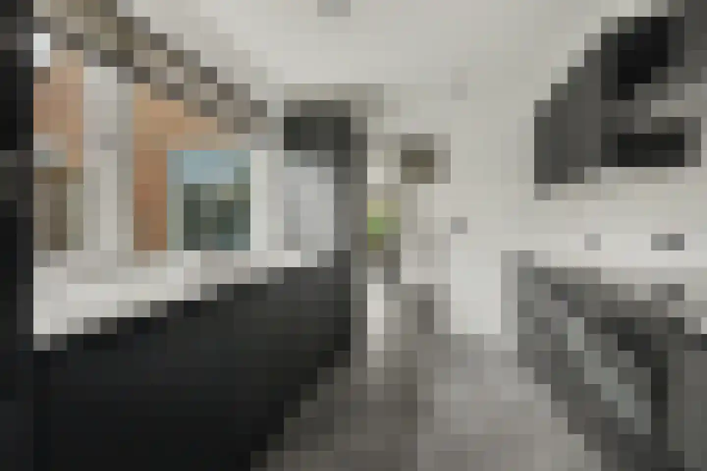 Ribesstraat 14 Nieuwerkerk thumbnail 7