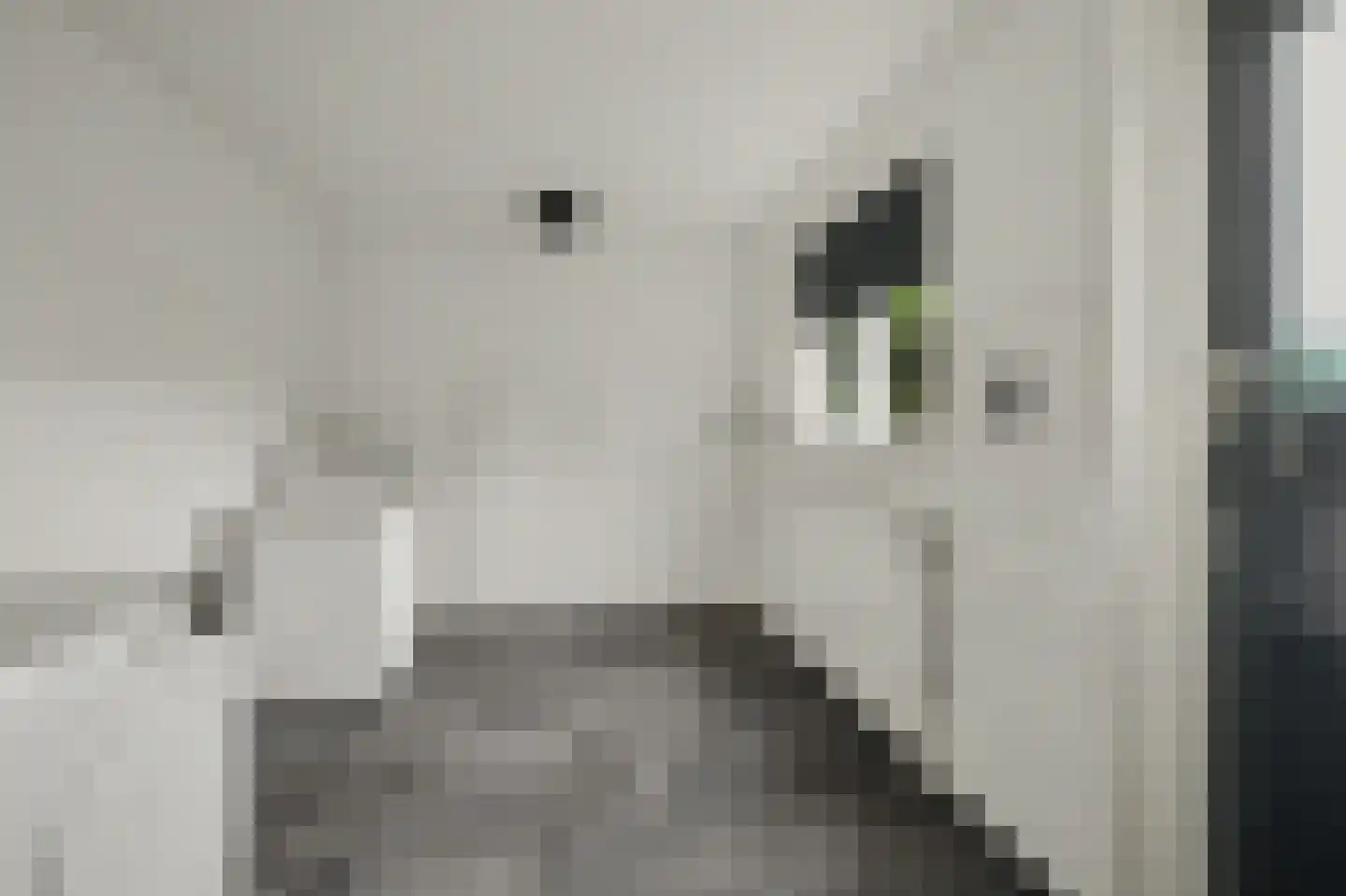 Ribesstraat 14 Nieuwerkerk thumbnail 9
