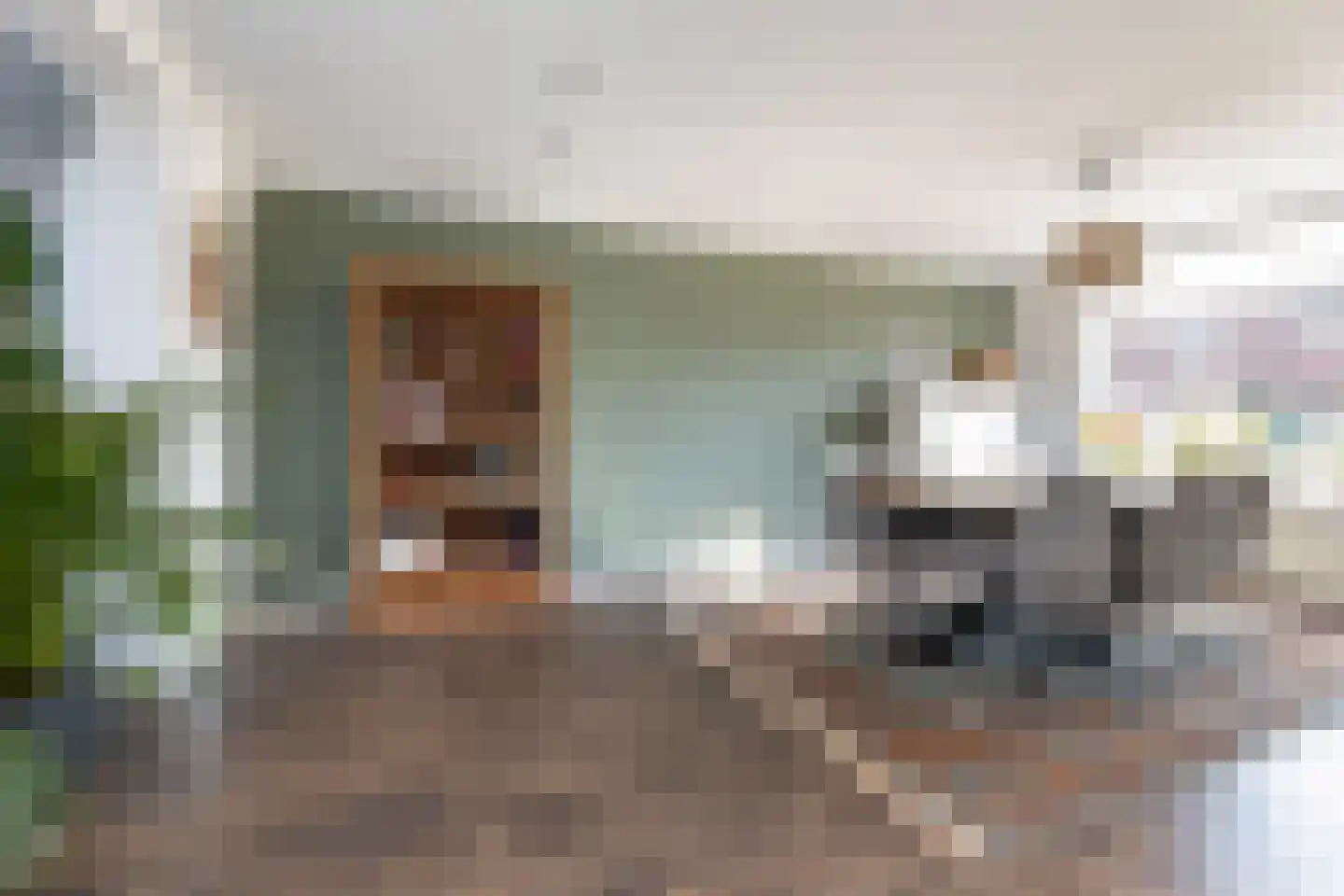 Ribesstraat 14 Wezep thumbnail 10