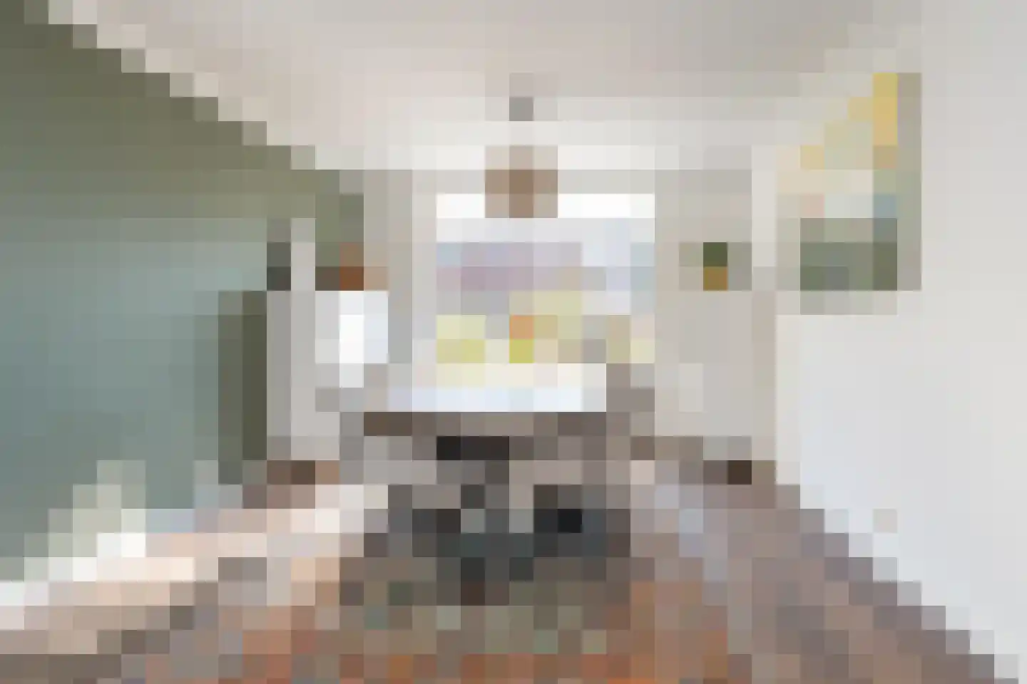 Ribesstraat 14 Wezep thumbnail 11