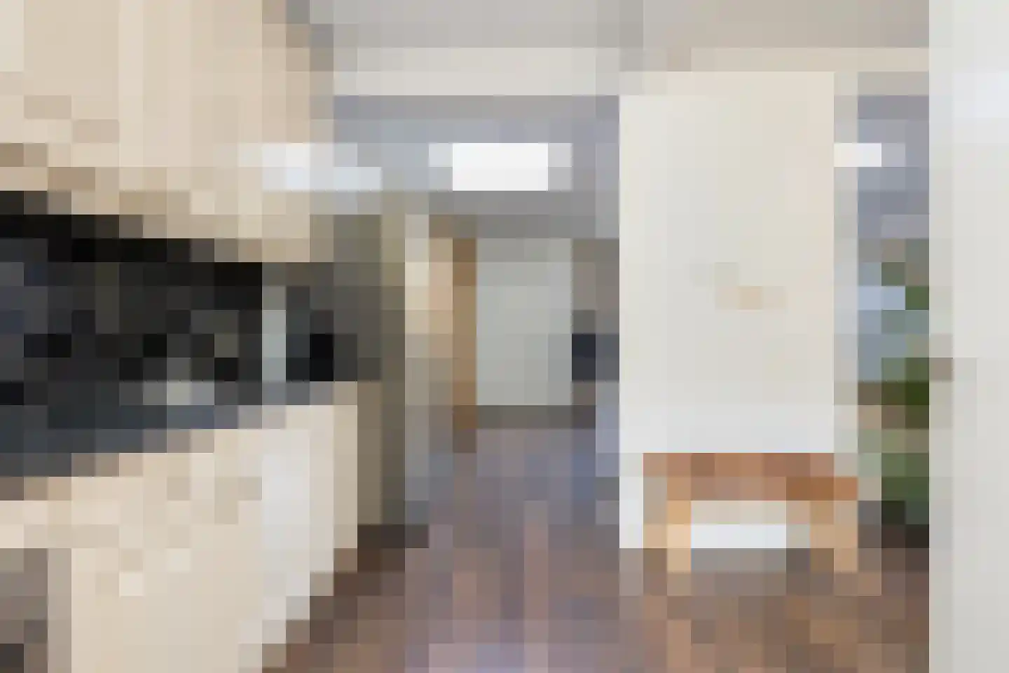 Ribesstraat 14 Wezep thumbnail 15