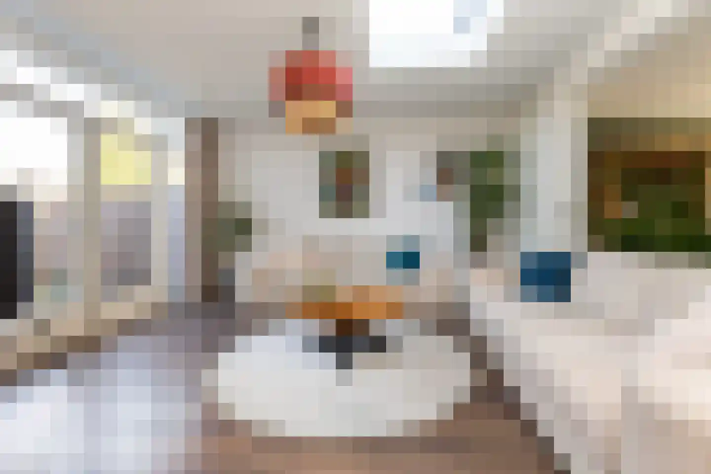 Ribesstraat 14 Wezep thumbnail 17