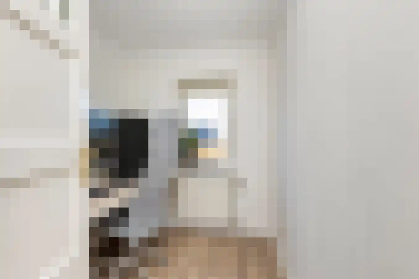 Ribesstraat 14 Wezep thumbnail 25