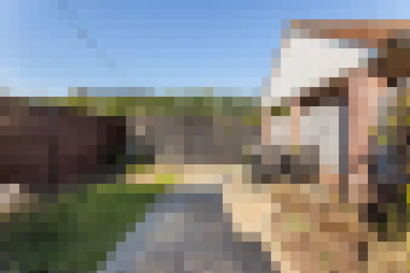 Ribesstraat 14 Wezep thumbnail 30