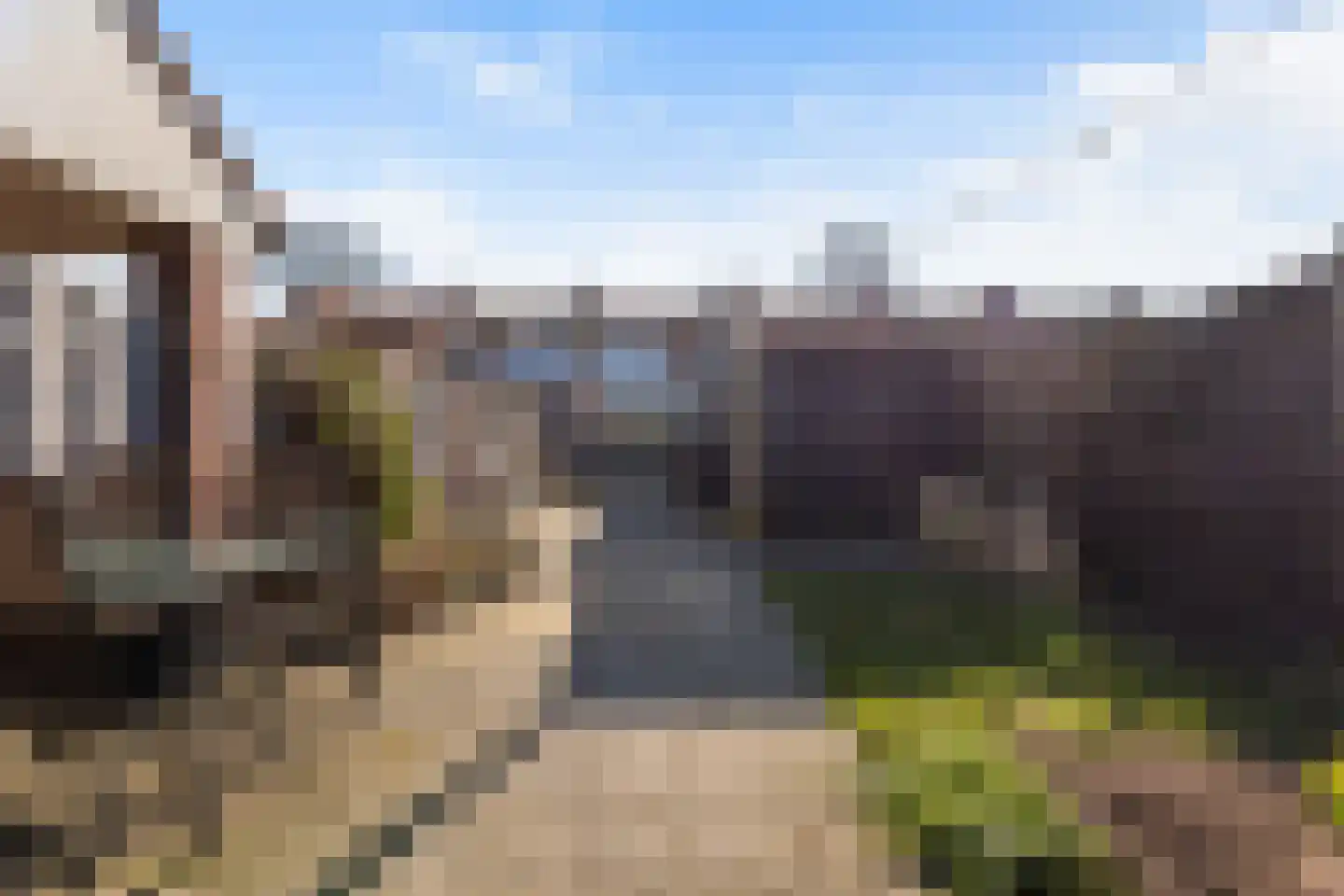 Ribesstraat 14 Wezep thumbnail 4