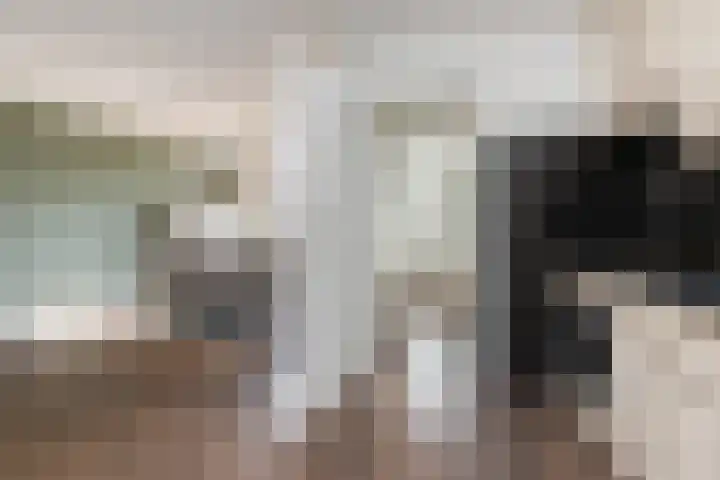 Ribesstraat 14 Wezep thumbnail 9