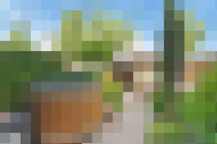 Ribesstraat 15 Berkel en Rodenrijs thumbnail 20
