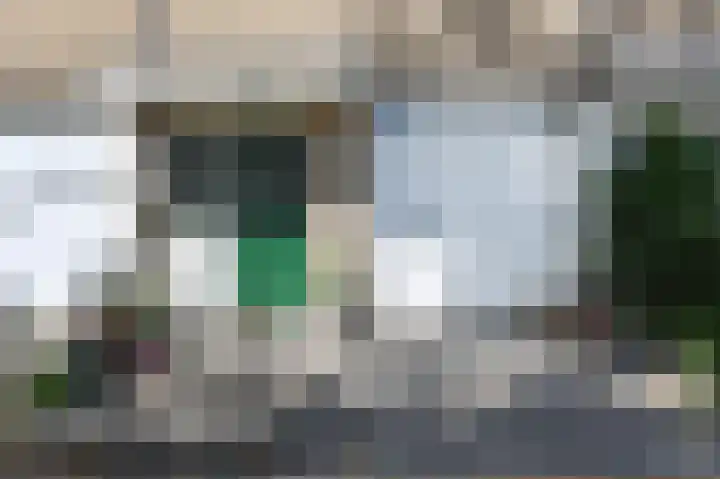 Ribesstraat 15 Berkel en Rodenrijs thumbnail 6