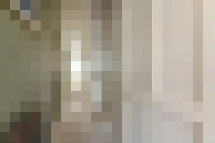 Ribesstraat 15 Berkel en Rodenrijs thumbnail 8