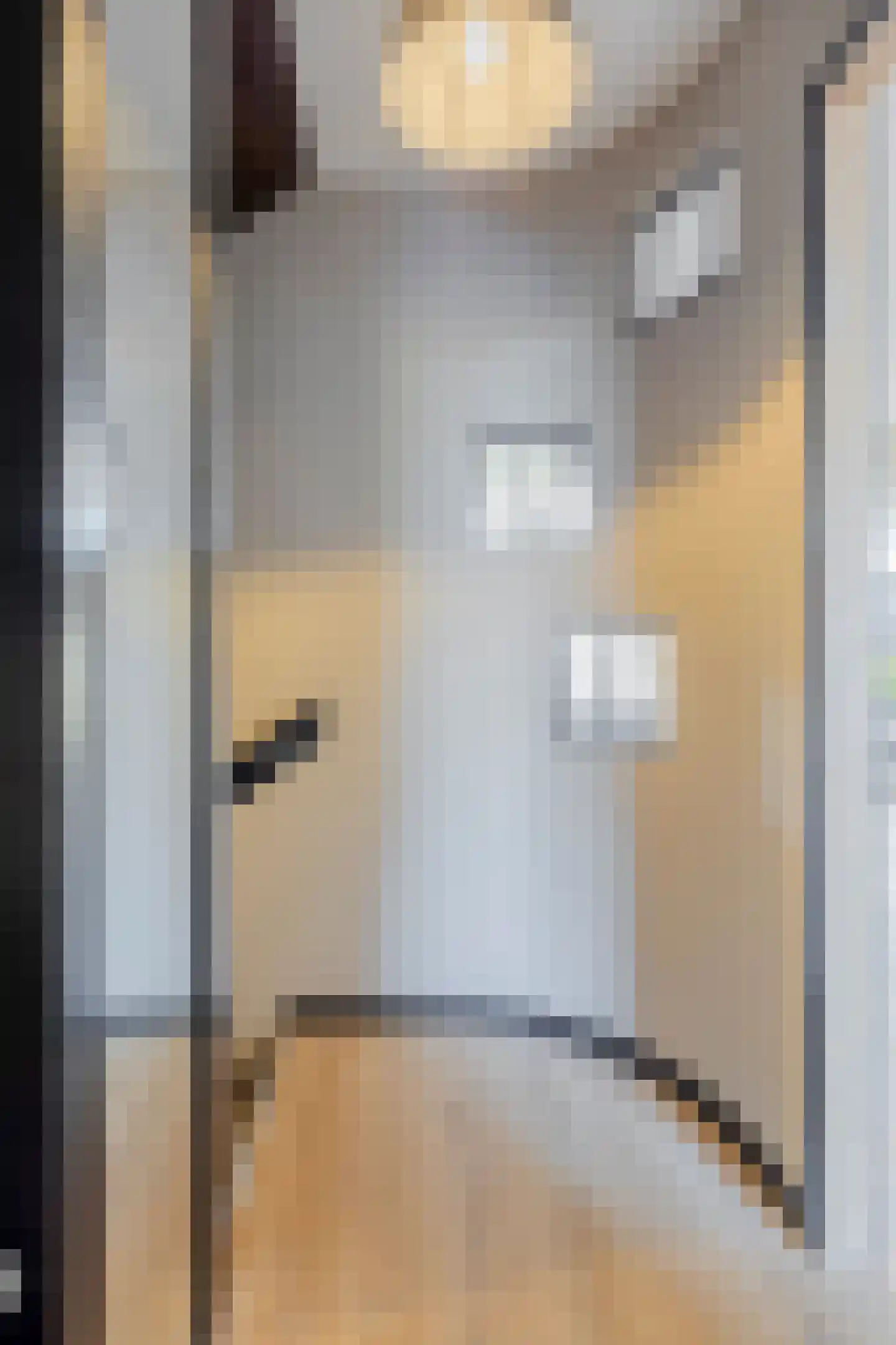 Ribesstraat 17 Berkel en Rodenrijs thumbnail 11