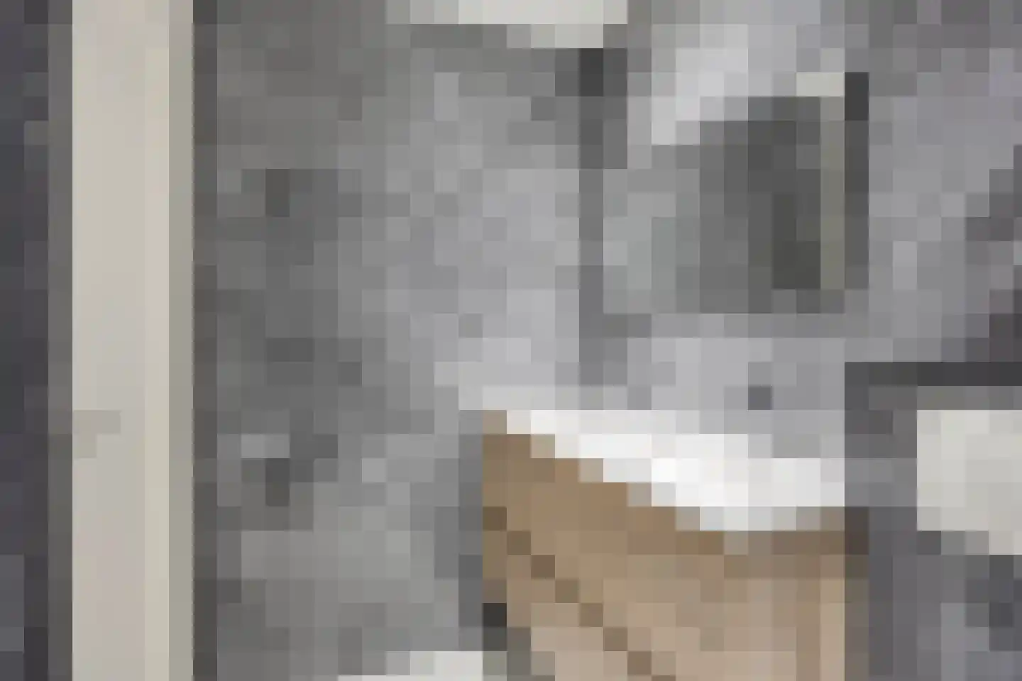 Ribesstraat 17 Berkel en Rodenrijs thumbnail 20