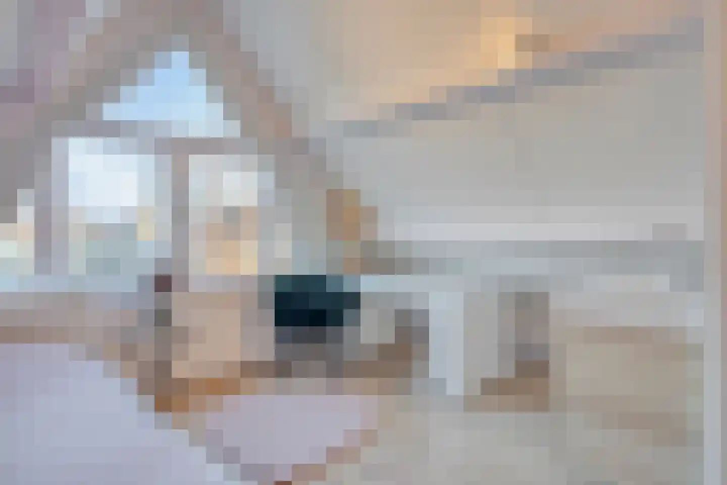 Ribesstraat 17 Berkel en Rodenrijs thumbnail 26