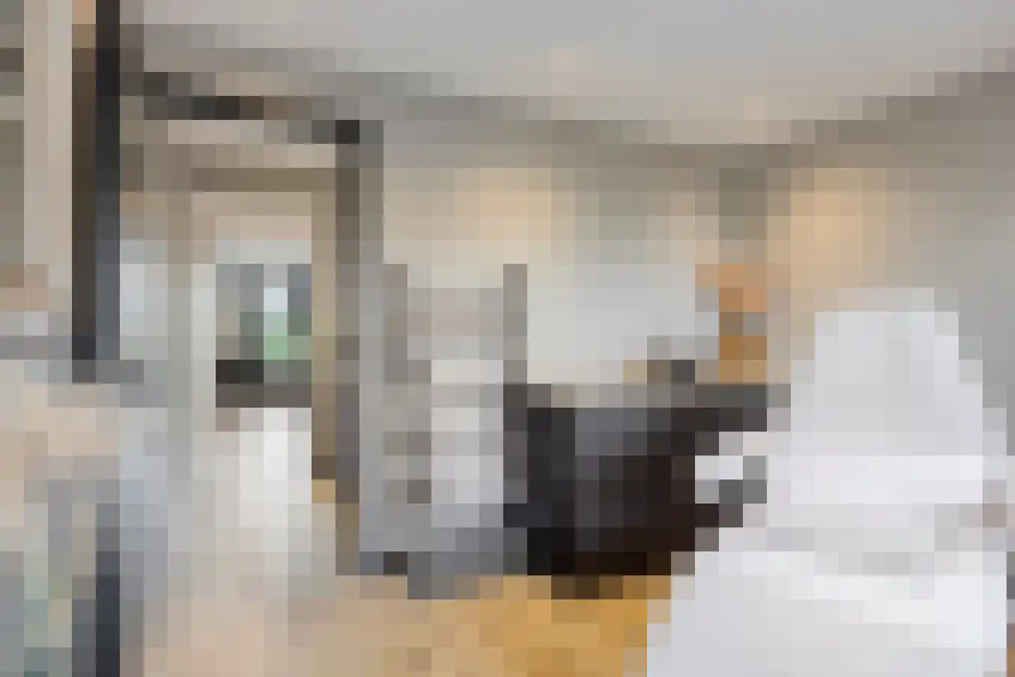 Ribesstraat 17 Berkel en Rodenrijs thumbnail 4