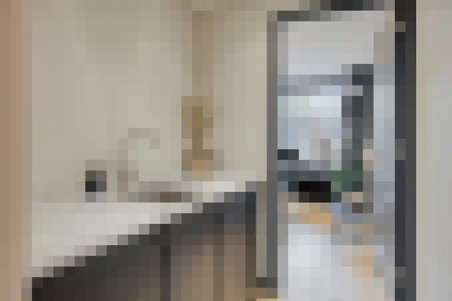 Ribesstraat 17 Berkel en Rodenrijs thumbnail 9