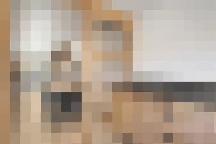 Ribesstraat 26 Lutten thumbnail 15