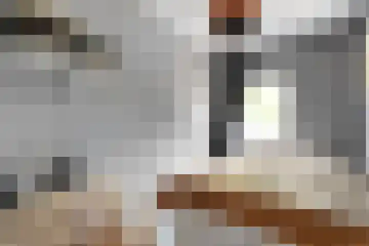 Ribesstraat 26 Lutten thumbnail 25