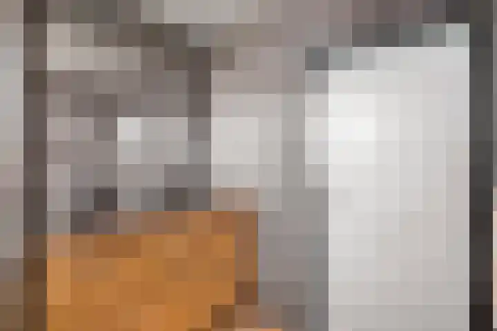 Ribesstraat 26 Lutten thumbnail 32