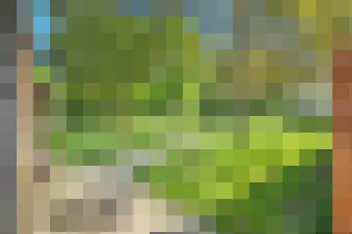 Ribesstraat 26 Lutten thumbnail 36
