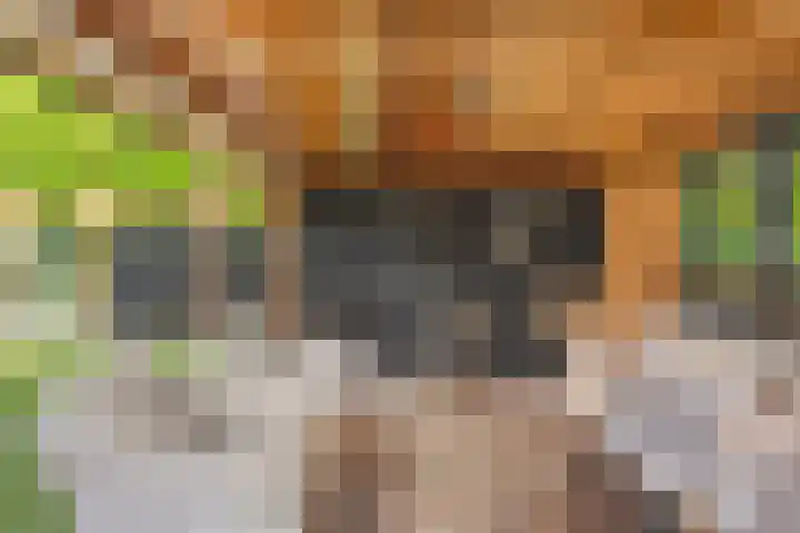 Ribesstraat 26 Lutten thumbnail 44