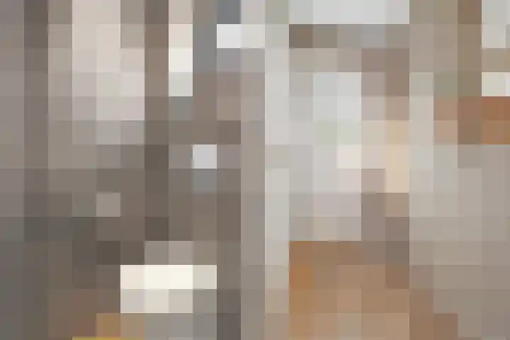 Ribesstraat 26 Lutten thumbnail 9