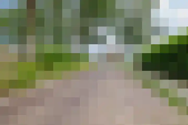 Ribesstraat 28 Musselkanaal thumbnail 10