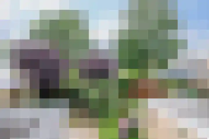 Ribesstraat 28 Musselkanaal thumbnail 33