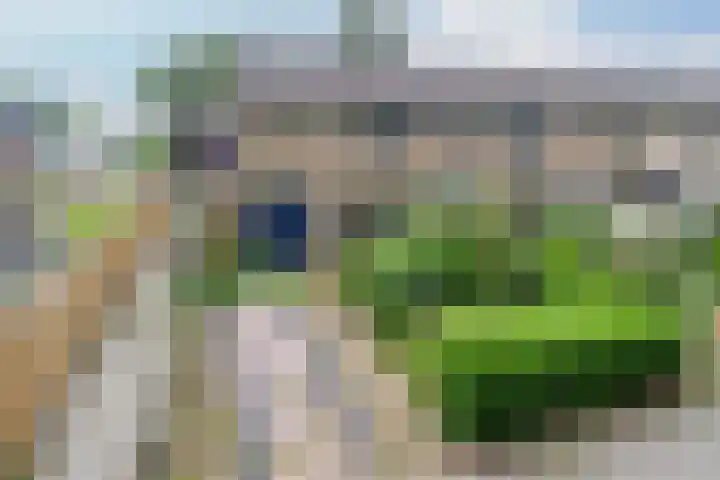 Ribesstraat 28 Musselkanaal thumbnail 5