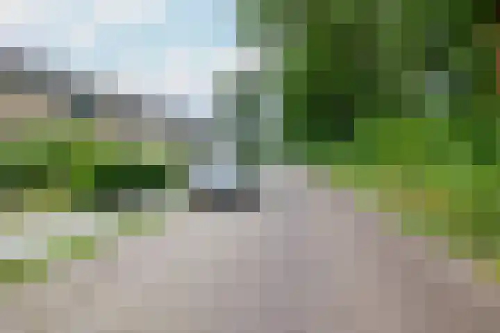 Ribesstraat 28 Musselkanaal thumbnail 9