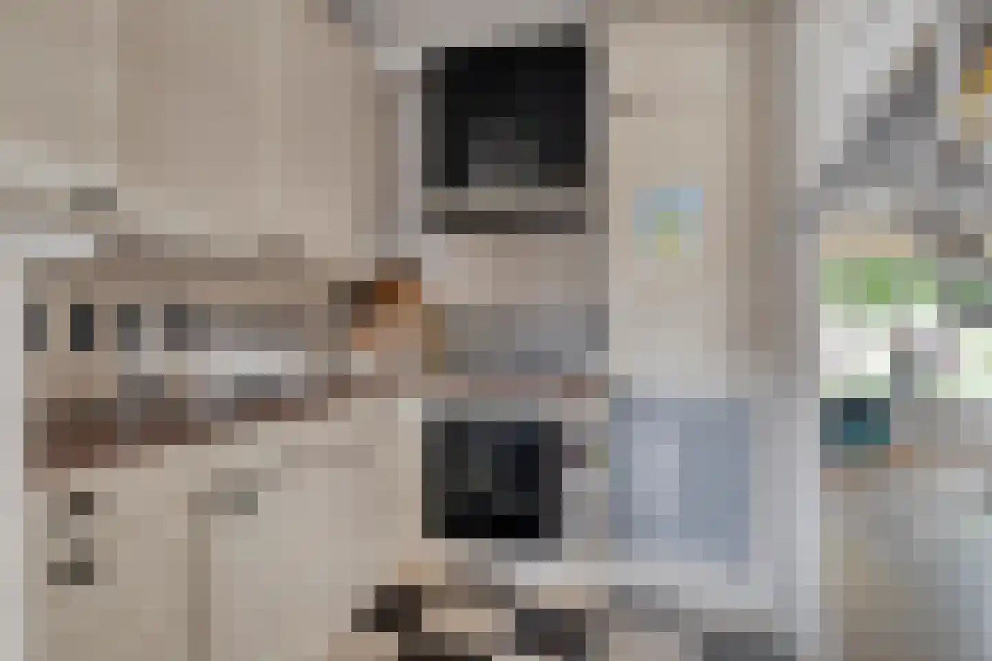 Ribesstraat 29 Oud-Beijerland thumbnail 15