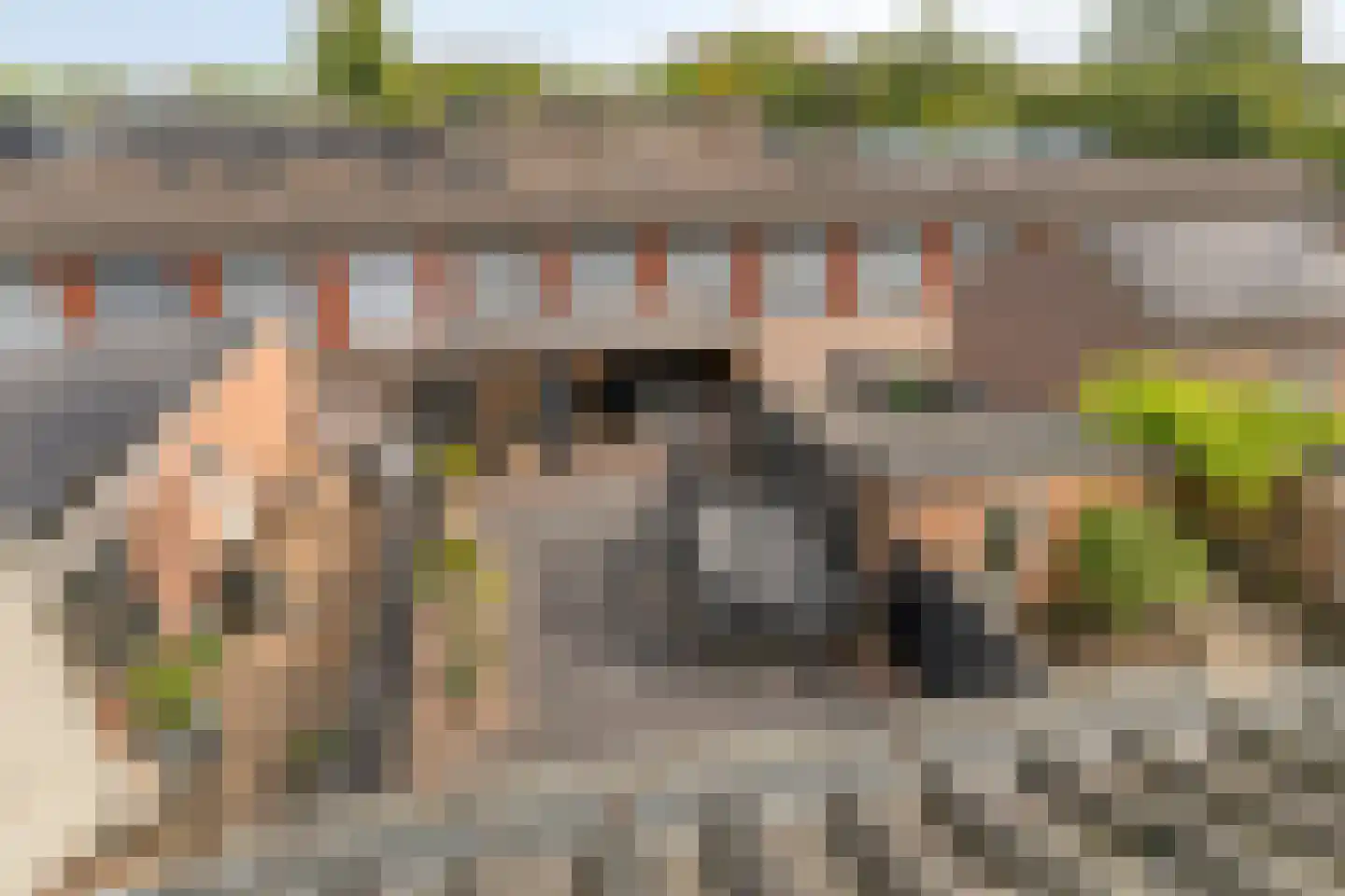 Ribesstraat 29 Oud-Beijerland thumbnail 30