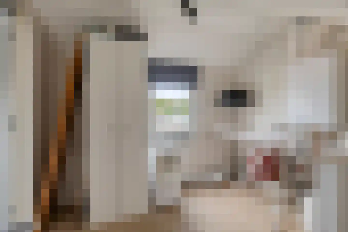 Ribesstraat 29 Oud-Beijerland thumbnail 30