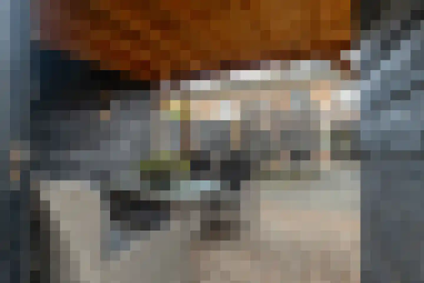 Ribesstraat 29 Oud-Beijerland thumbnail 32