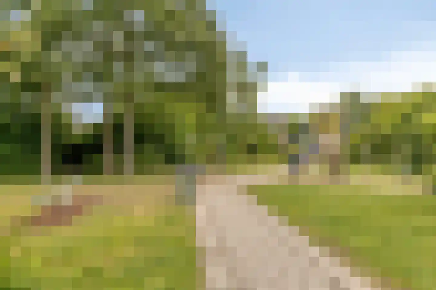 Ribesstraat 29 Oud-Beijerland thumbnail 39