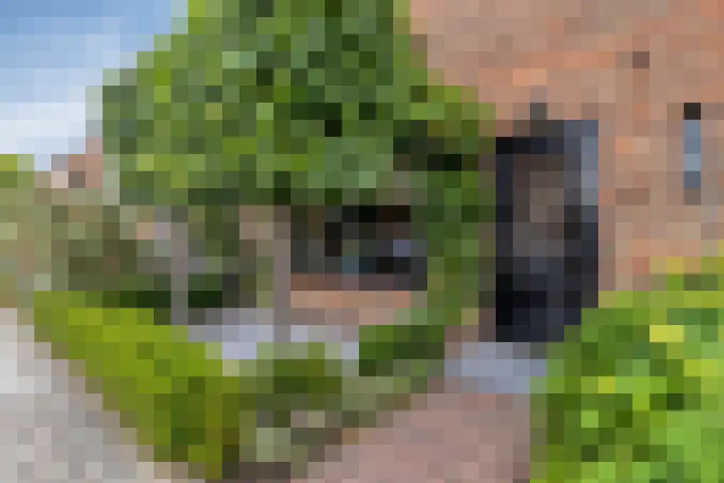 Ribesstraat 29 Oud-Beijerland thumbnail 5