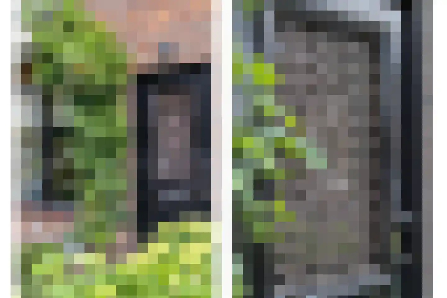 Ribesstraat 29 Oud-Beijerland thumbnail 6