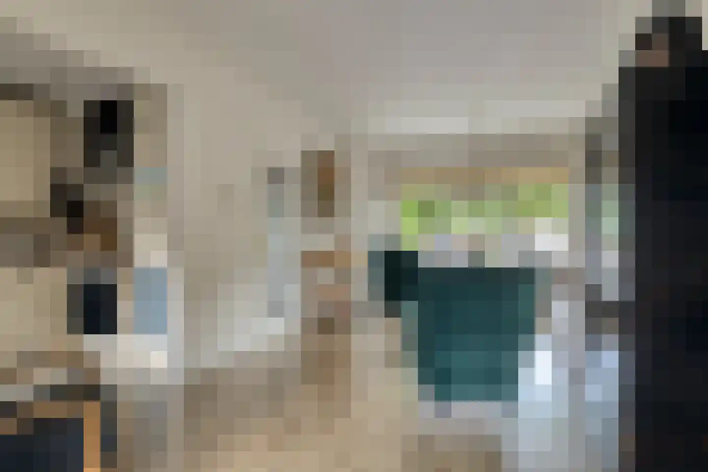Ribesstraat 29 Oud-Beijerland thumbnail 9