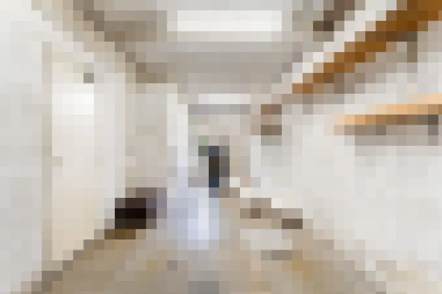 Ribesstraat 3 Berkel en Rodenrijs thumbnail 10