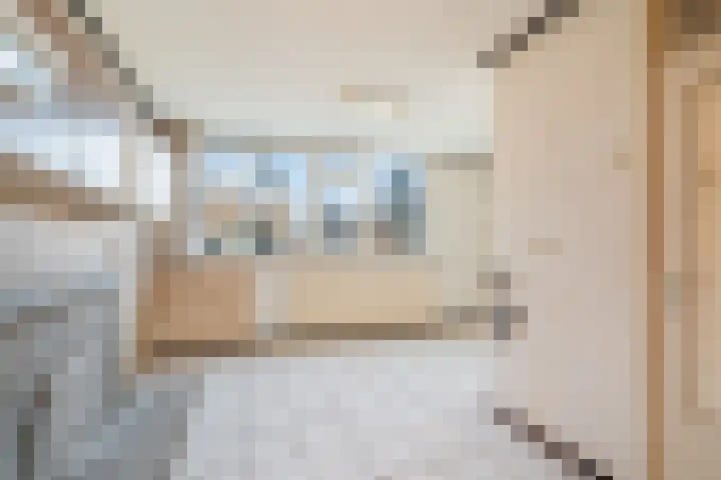 Ribesstraat 3 Berkel en Rodenrijs thumbnail 15