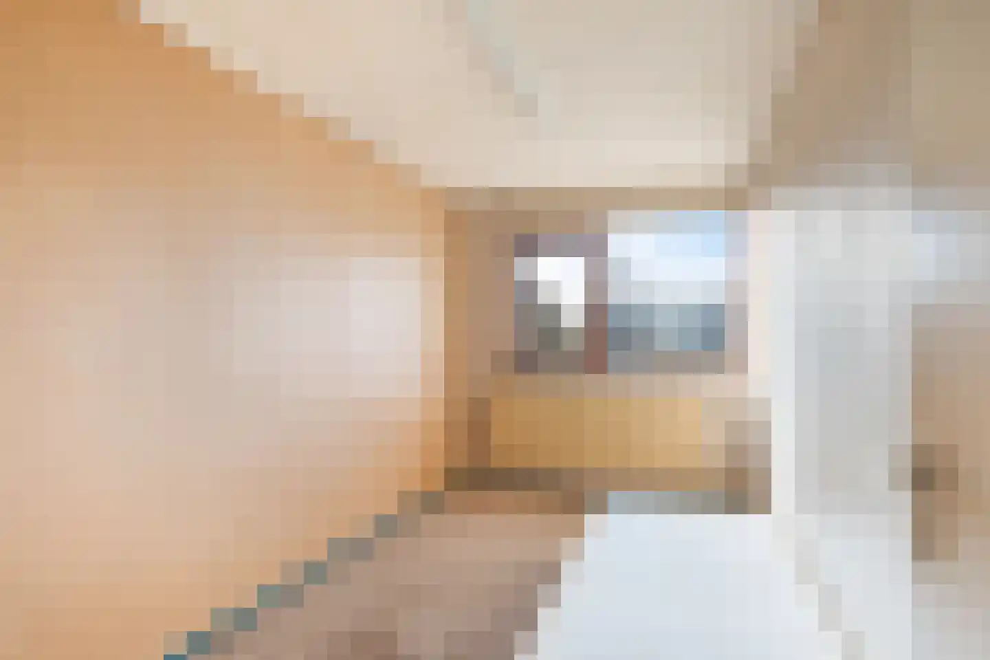 Ribesstraat 3 Berkel en Rodenrijs thumbnail 23
