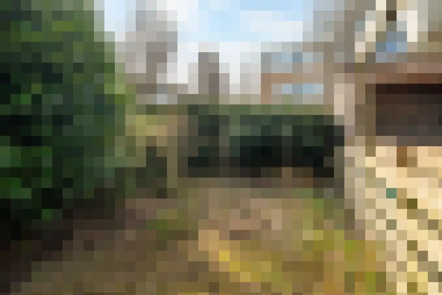 Ribesstraat 3 Berkel en Rodenrijs thumbnail 30