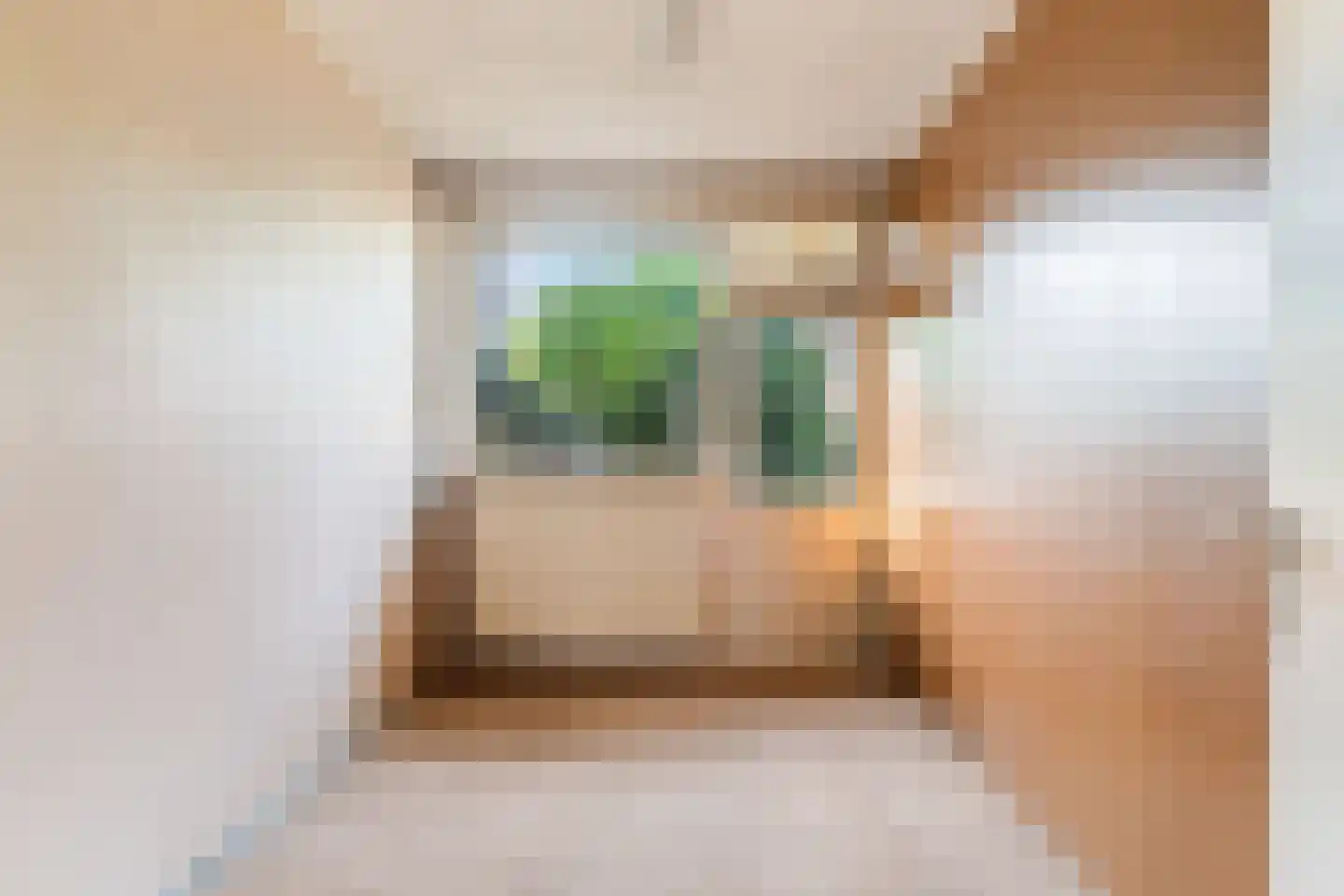 Ribesstraat 3 Berkel en Rodenrijs thumbnail 8