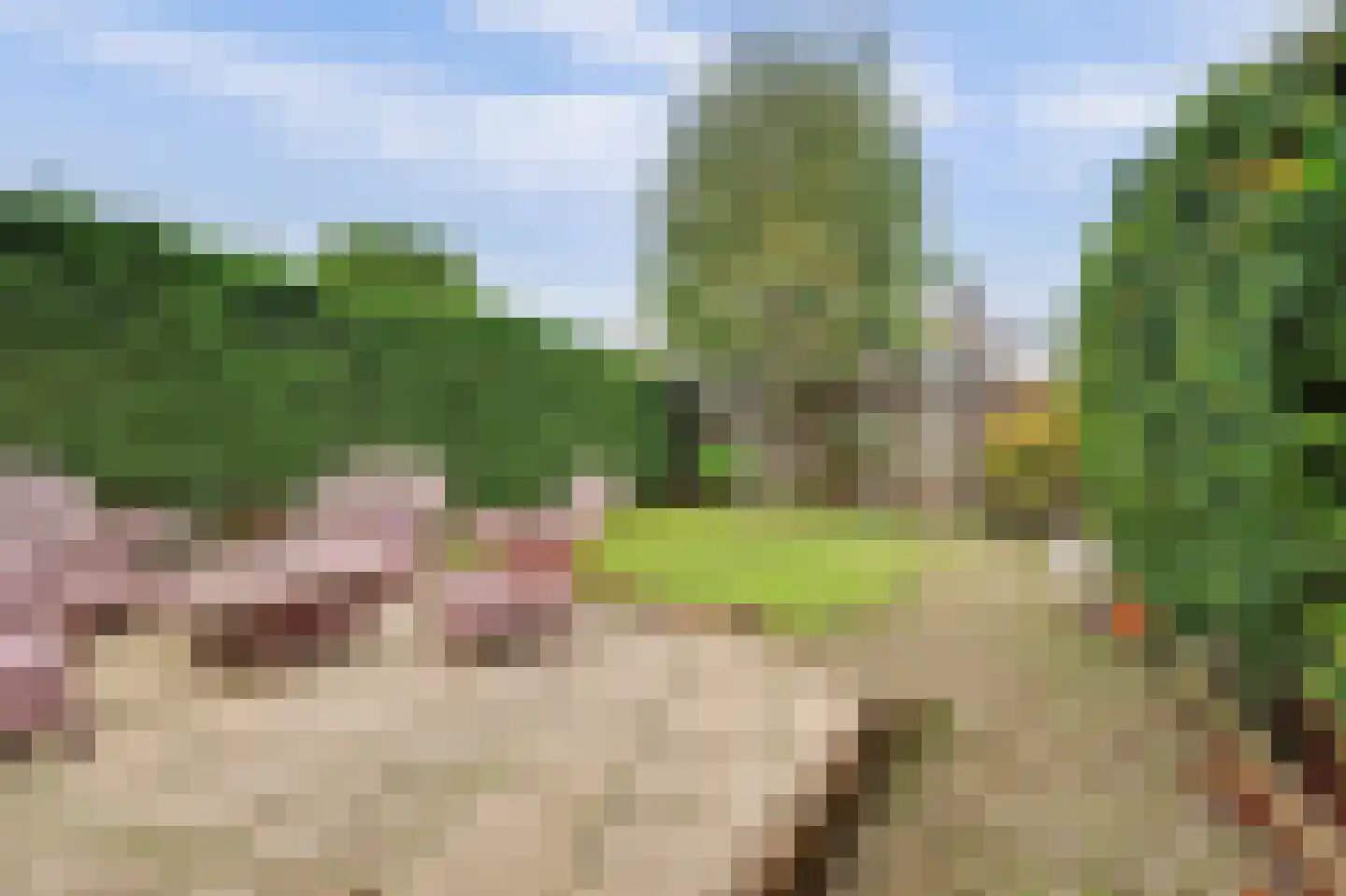 Ribesstraat 3 Puttershoek thumbnail 33