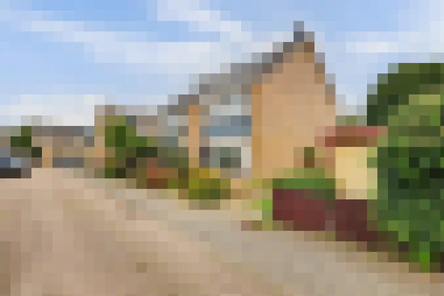 Ribesstraat 3 Puttershoek thumbnail 35