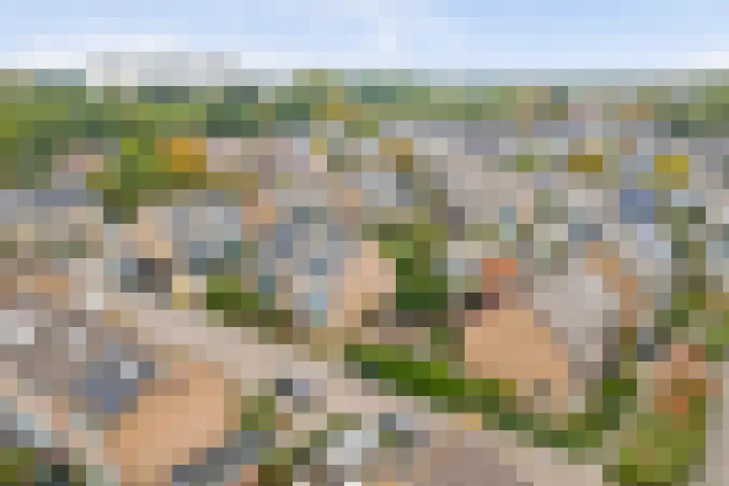 Ribesstraat 3 Puttershoek thumbnail 39