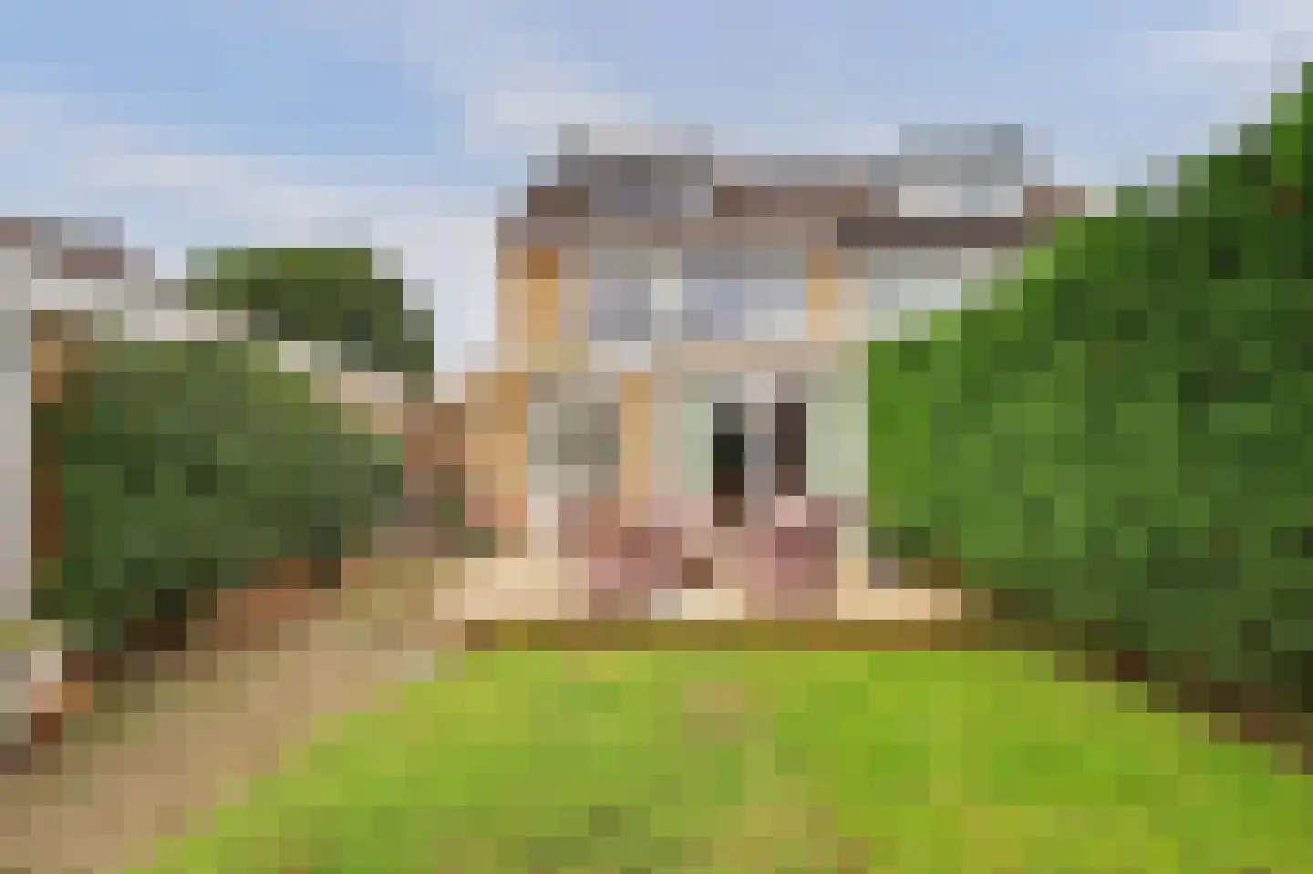 Ribesstraat 3 Puttershoek thumbnail 6