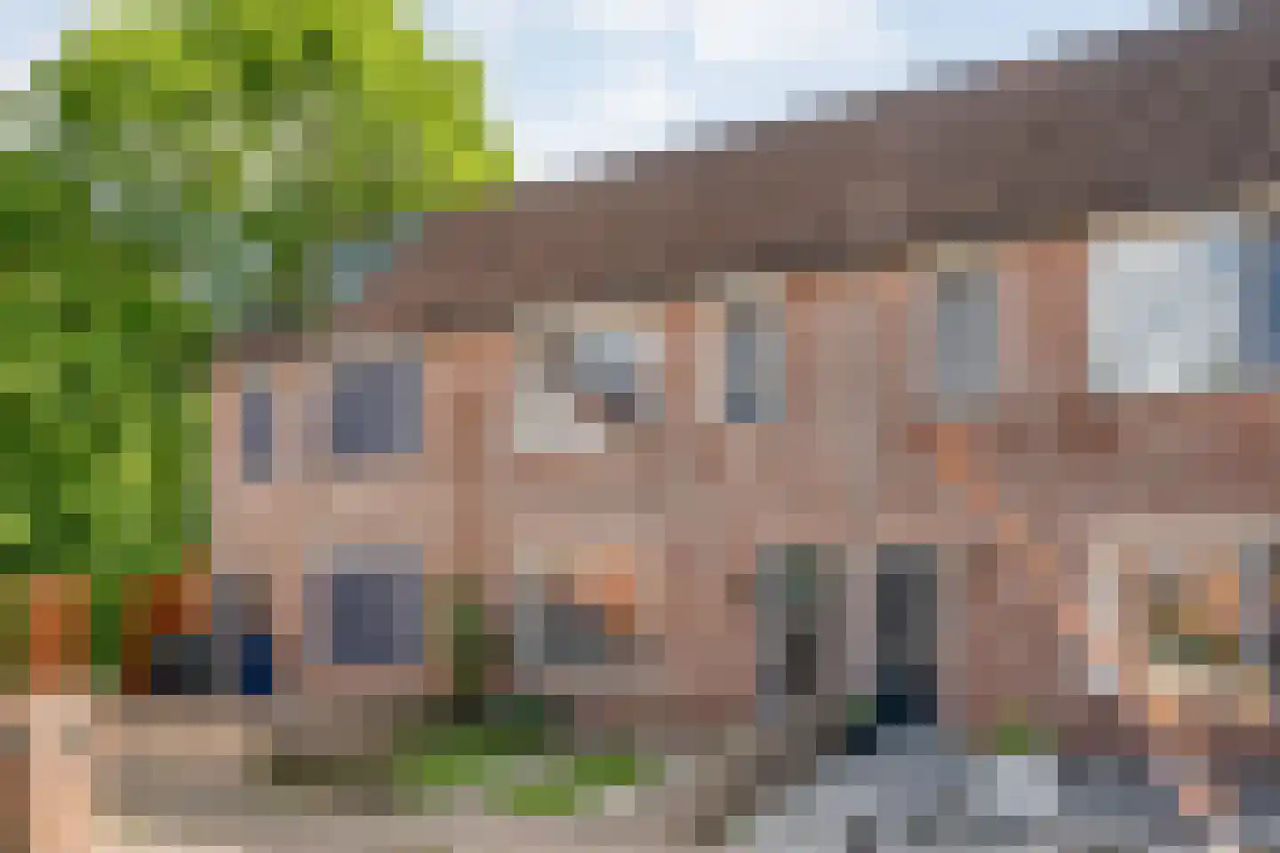 Ribesstraat 30 Lutten